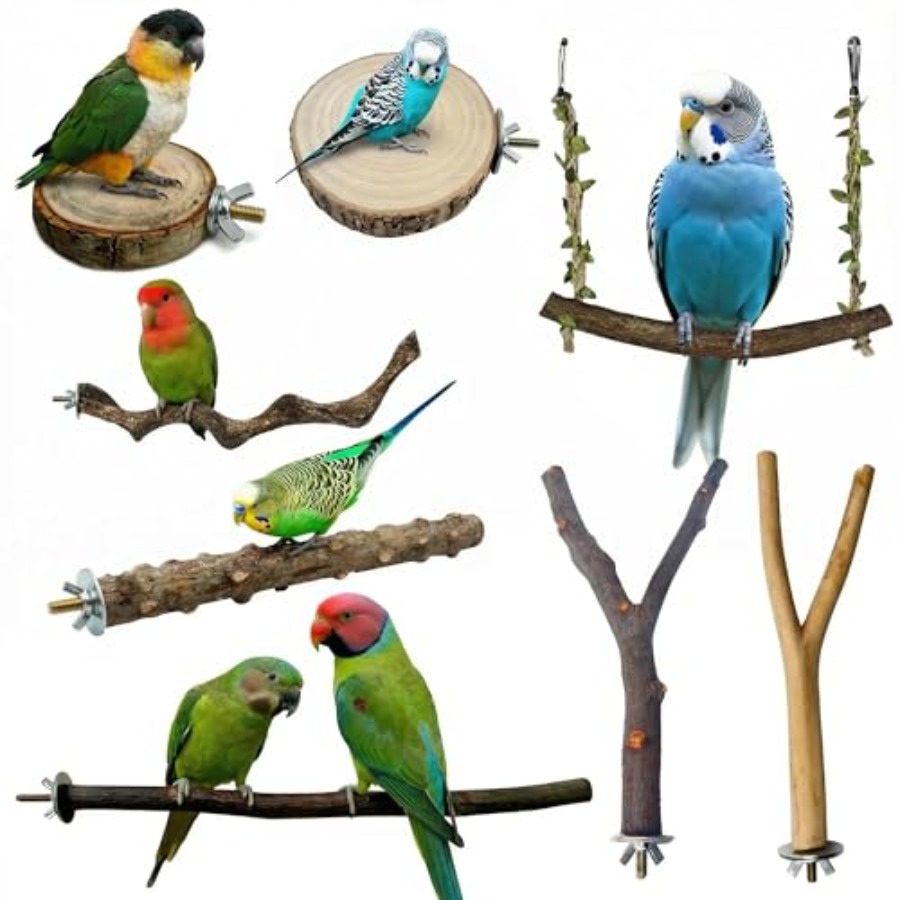 Health & Wellness Programs - 8PCS natural wood bird perches for