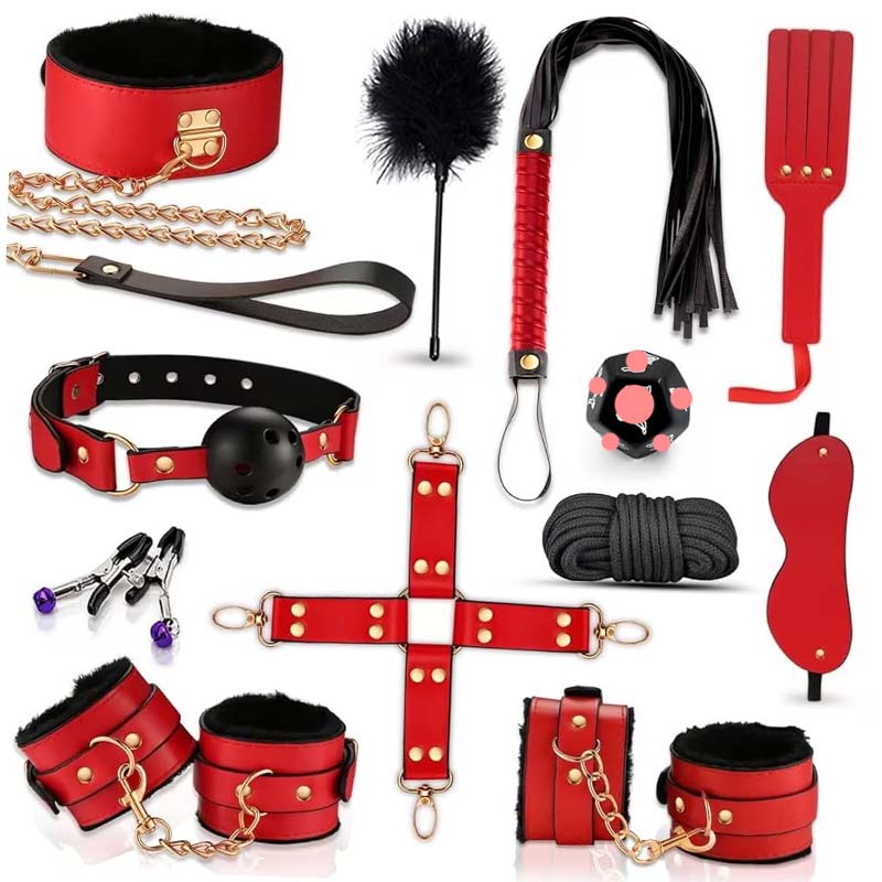 Health Wellness Kit - 12-Piece Couples BDSM Bondage Sex Toy