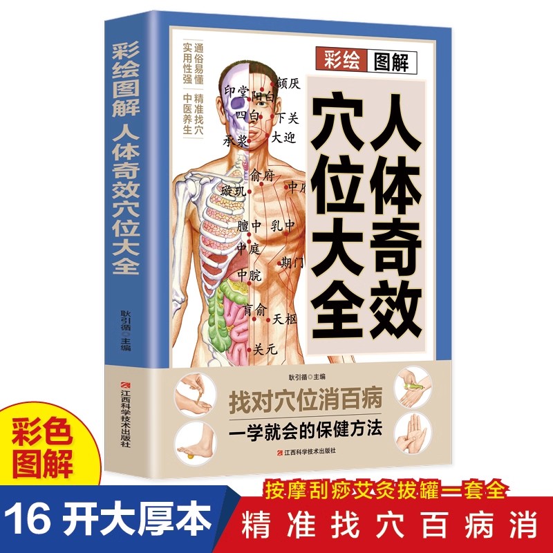 Health & Wellness Programs - Acupoint Massage & TCM Health Preservation