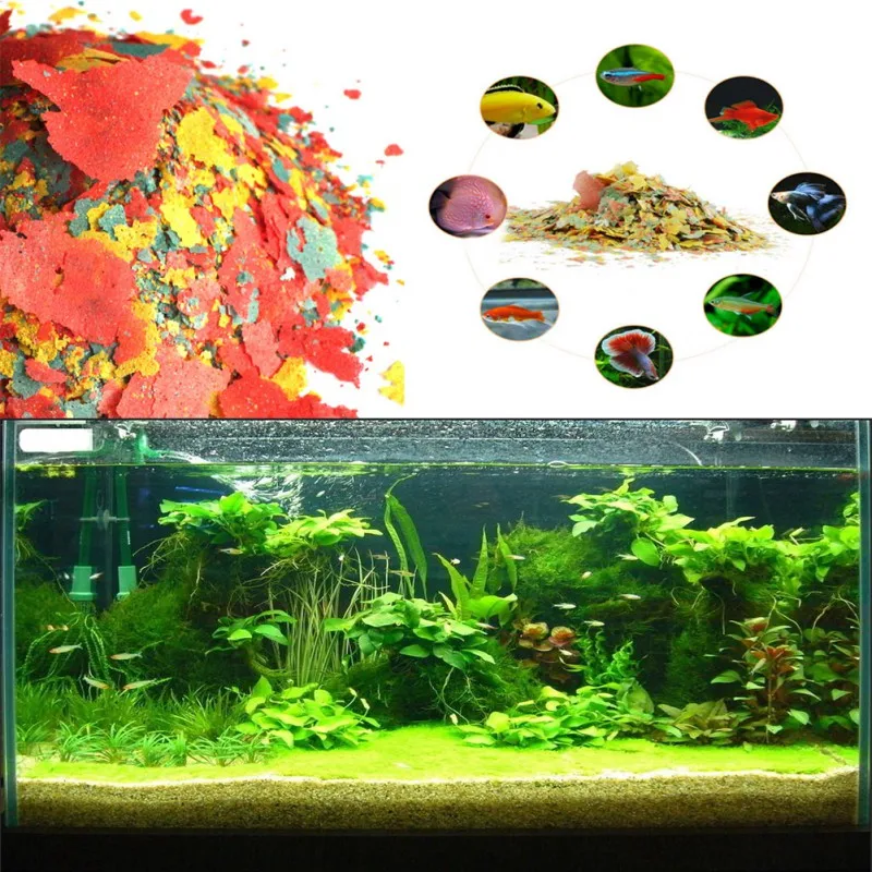 NEW Healthy Fish Food Flakes F - đánh giá và giá Health Wellness Items