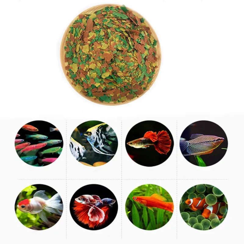 NEW Healthy Fish Food Flakes F - đánh giá và giá Health Wellness Items
