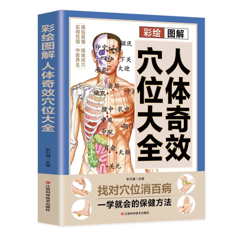 Complete Guide to Acupoint Mas - đánh giá và giá Health & Wellness Programs
