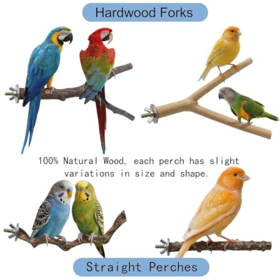 8PCS natural wood bird perches - đánh giá và giá Health & Wellness Programs