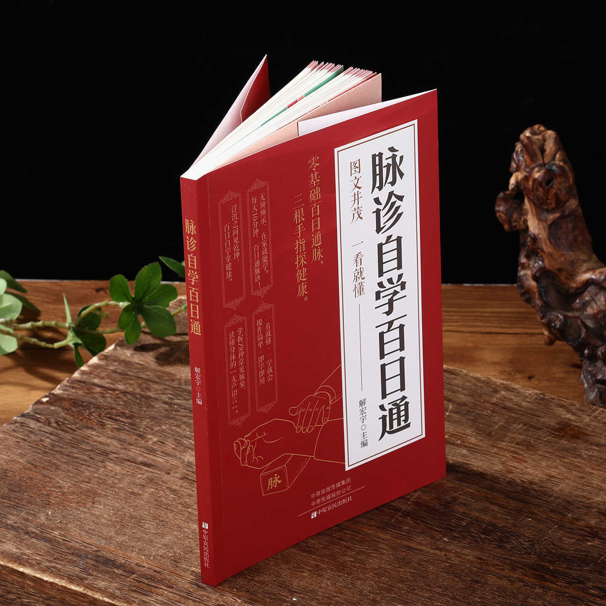 Pulse Diagnosis Self Study Hun - đánh giá và giá Health & Wellness Programs