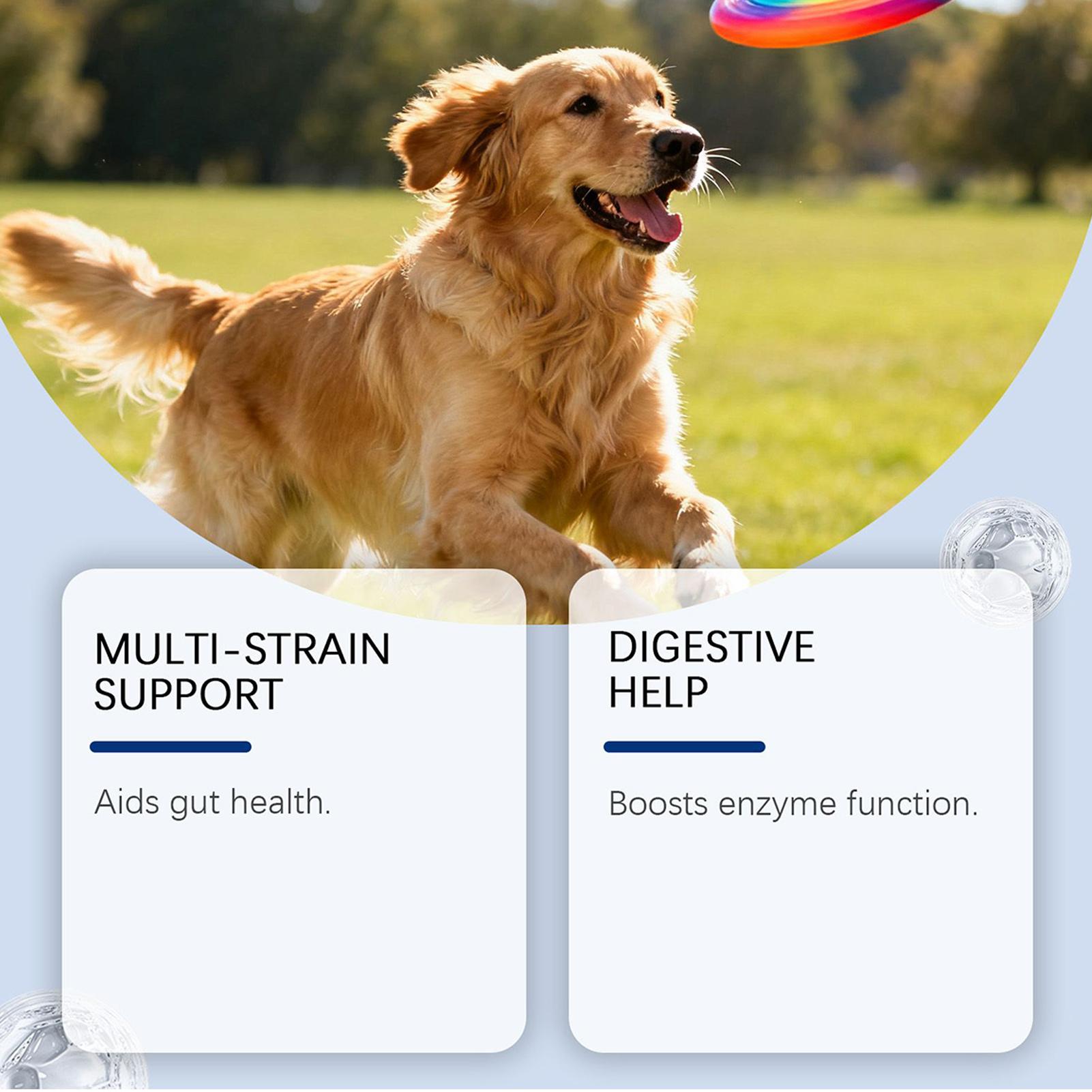 Dog Wellness Bites Healthy Nat - đánh giá và giá Health Wellness Food